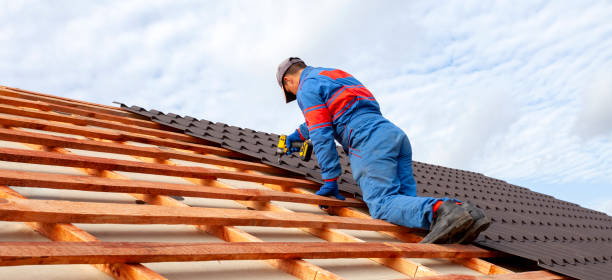 Best Green or Eco-Friendly Roofing Solutions  in Clio, AL